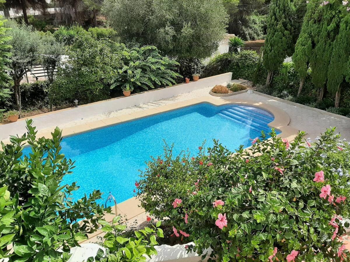Villa Margarita - A Tranquil Oasis With Large Private Pool خافييا المظهر الخارجي الصورة
